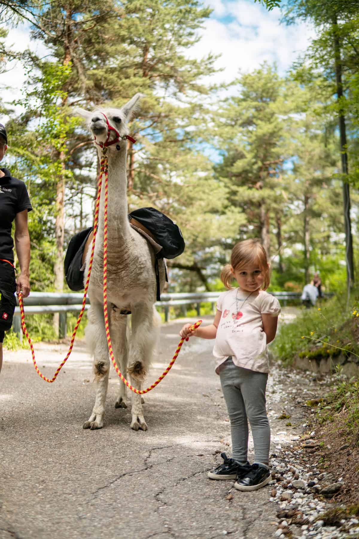 Elternzeit-Reise: Die Pirchhof-Lamas